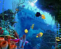 Koralrevs dykkertur